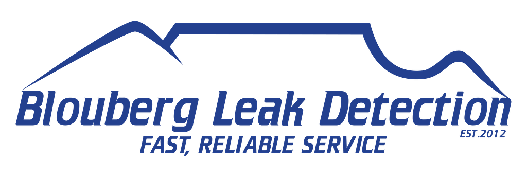 Blouberg Leak Detection Logo_blue_sml